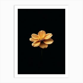 Single Yellow Flower 30 Art Print