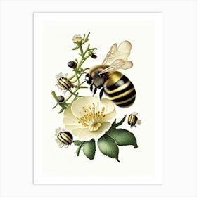 Pollination Bees 1 Vintage Art Print