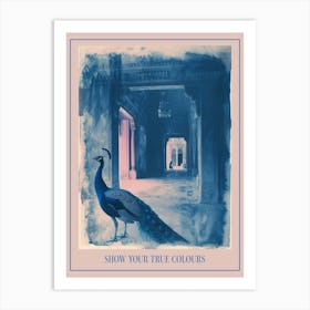 Blue Peacock In A Palace Cyanotype Inspired Poster Art Print