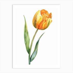 Watercolor Tulip 1 Art Print