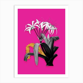 Vintage Crinum Erubescens Black and White Gold Leaf Floral Art on Hot Pink Art Print