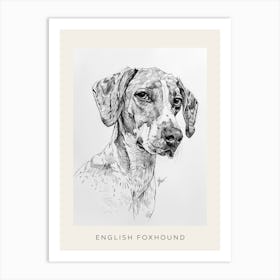 English Foxhound Dog Line Sketch 4 Poster Art Print