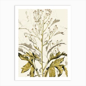 Flora Of California 1 Art Print