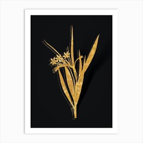 Vintage White Baboon Root Botanical in Gold on Black n.0136 Art Print
