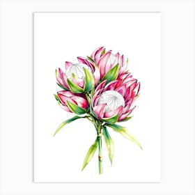 Watercolor Proteas Art Print