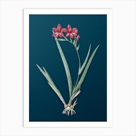 Vintage Gladiolus Cardinalis Botanical Art on Teal Blue n.0473 Art Print