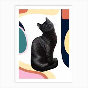 Black Cat On Modern Background Art Print
