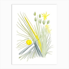 Lemon Grass Spices And Herbs Pencil Illustration 5 Art Print