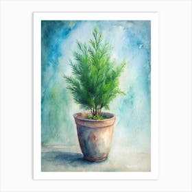 Watercolor Of A Pine Tree Art Print