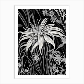 Spider Lily Wildflower Linocut 1 Art Print