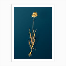 Vintage Orange Ixia Botanical in Gold on Teal Blue n.0090 Art Print