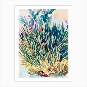 Acropora Formosa 2 Vintage Graphic Watercolour Art Print