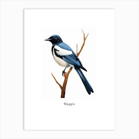 Magpie Kids Animal Poster Art Print
