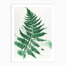 Green Ink Painting Of A Rabbits Foot Fern 1 Art Print