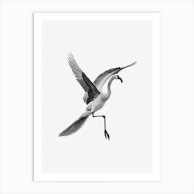 Greater Flamingo B&W Pencil Drawing 1 Bird Art Print