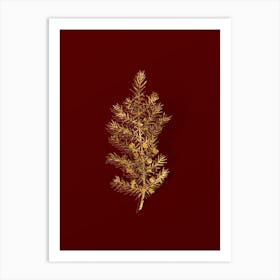 Vintage Common Juniper Botanical in Gold on Red n.0267 Art Print