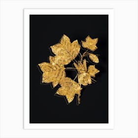 Vintage Tulip Tree Botanical in Gold on Black Art Print