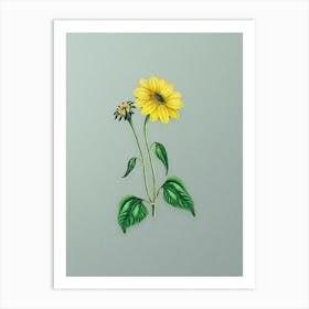 Vintage Trumpet Stalked Sunflower Botanical Art on Mint Green n.0751 Art Print