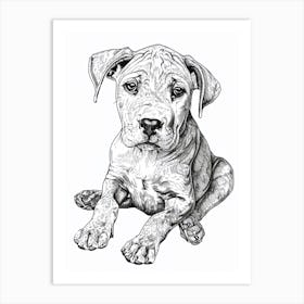 Dogo Argentino Dog Line Sketch 1 Art Print