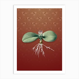 Vintage Massonia Pustulata Botanical on Falu Red Pattern n.1240 Art Print