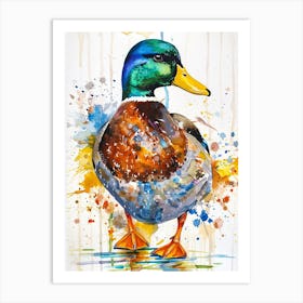 Mallard Duck Colourful Watercolour 4 Art Print