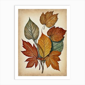 Autumn Leaves Canvas Print Art Print