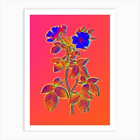 Neon Red Bramble Leaved Rose Botanical in Hot Pink and Electric Blue n.0192 Art Print