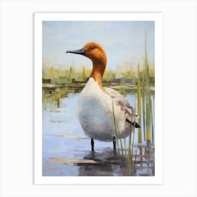 Bird Painting Canvasback 2 Art Print