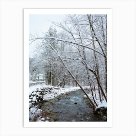 Upstate New York Snow III on Film Art Print