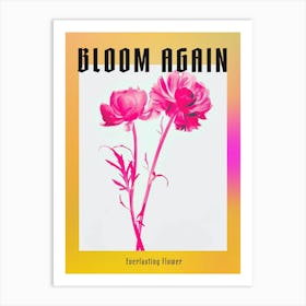 Hot Pink Everlasting Flower 1 Poster Art Print