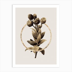 Gold Ring Cudweeds Glitter Botanical Illustration Art Print