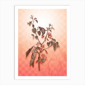 Judas Tree Vintage Botanical in Peach Fuzz Tartan Plaid Pattern n.0020 Art Print