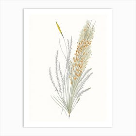 Horsetail Spices And Herbs Pencil Illustration 1 Art Print