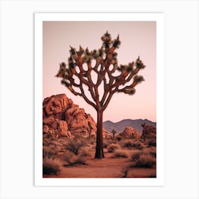  Photograph Of A Joshua Trees At Dusk In Desert 2 Art Print