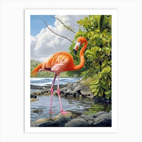 Greater Flamingo Galapagos Islands Ecuador Tropical Illustration 7 Art Print