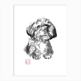 Petit Chien Art Print