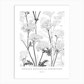 Daucus B&W Vintage Botanical Poster Art Print