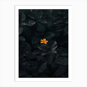 Black Flower 6 Art Print