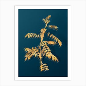 Vintage Flowering Indigo Plant Botanical in Gold on Teal Blue n.0138 Art Print