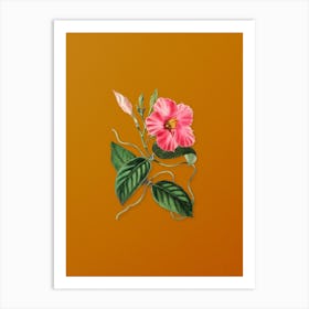 Vintage Knob Jointed Dipladenia Flower Botanical on Sunset Orange n.0842 Art Print
