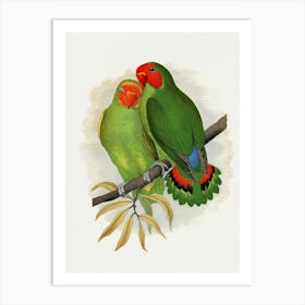 Lovebirds Art Print