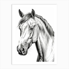 Highly Detailed Pencil Sketch Portrait of Horse with Soulful Eyes 5 Art Print