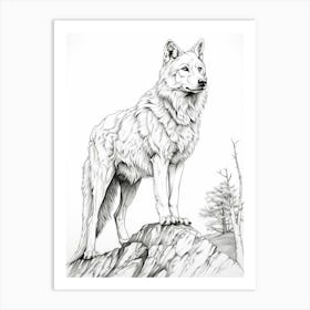 Arctic Wolf Line Drawing 1 Art Print