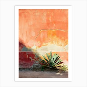 Cactus In Front Of Wall Art Print