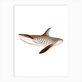 Carpet Shark 2 Vintage Art Print