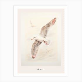 Vintage Bird Drawing Seagull 3 Poster Art Print