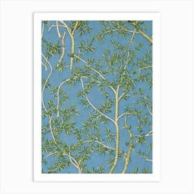 Willow Oak 2 tree Vintage Botanical Art Print