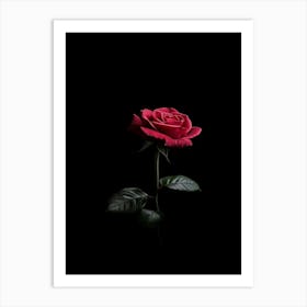 Single Rose On Black Background 32 Art Print