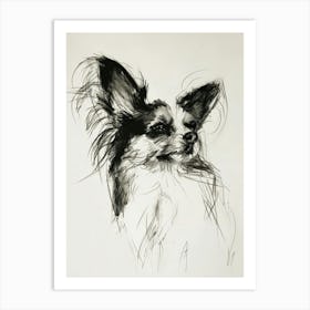 Papillon Dog Charcoal Line 1 Art Print