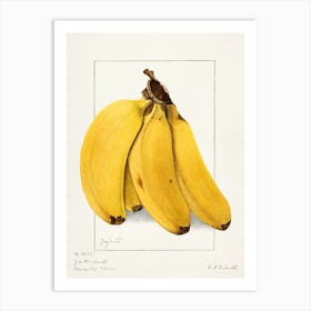 Bananas Art Print